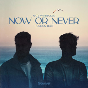 Now or Never by Nate VanDeusen, Horizon Blue