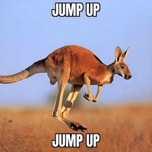 kangaroo
