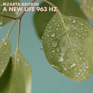 A New Life 963 Hz by Mzarta Brokin