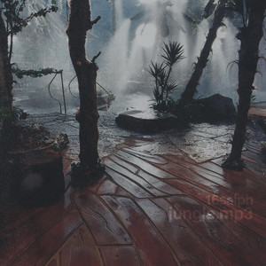 jungle by saiph, venny