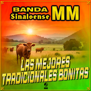Sin Pasaporte by Banda Sinaloense MM
