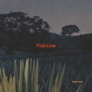 Flatline by Wispy Noir