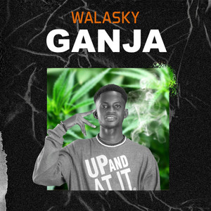 WALASKY - GANJA
