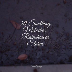 50 Soothing Melodies: Rainshower Storm album
