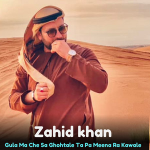zahid khan - Gula Ma Che Sa Ghohtale Ta Pa Meena Ra Kawale