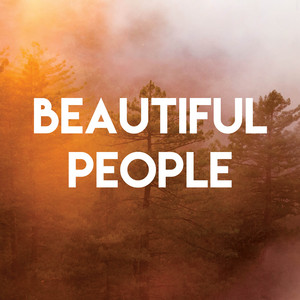 Beautiful People - song and lyrics by Vibe2Vibe | Spotify