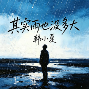 其实雨也没多大 - Dj高赞版 by 韩小夏, 高赞