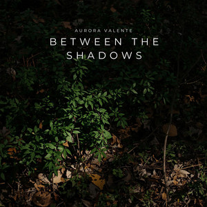 Between the Shadows by Aurora Valente, lowlight.fm