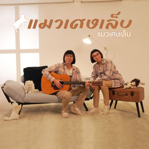 แมวเศษเล็บ