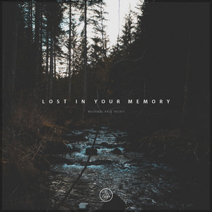 Lost in Your Memory