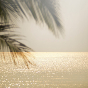 Open Latitude by White Whisper