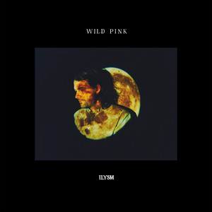 Cahooting The Multiverse by Wild Pink