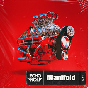 Manifold by Echo Wolf
