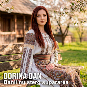 Banii nu sterg supararea by Dorina Dan