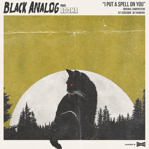 I Put a Spell on You by Black Analog, ADONA