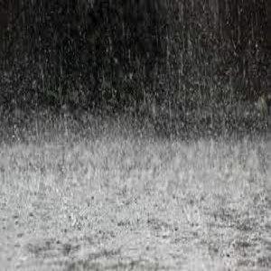 Peaceful Rainy Nights