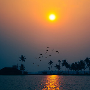 A Heart at Peace by Mamunur Rashid