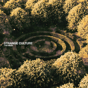 This Maze by Strange Culture PA