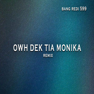 Bang Redi 599 - OWH DEK TIA MONIKA REMIX