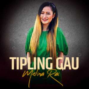 Tipling gau