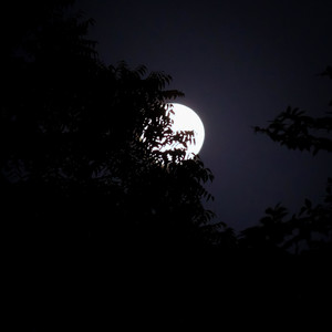 Обкладинка: Midnights