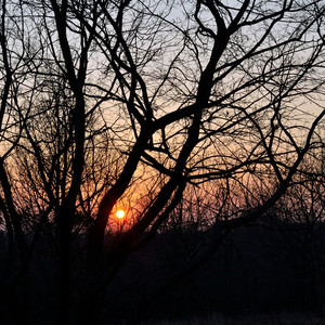 Amber Morning Groove by SAIRA. DEEP V.