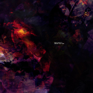 Davide Benedetti cover