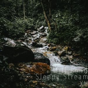 Sleepy Stream XV by Mill Pond