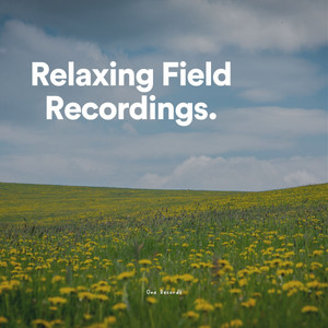 Relaxing Field Recordings album