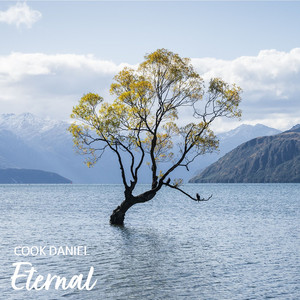 Eternal by Cook Daniel
