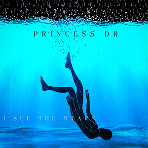 i see the stars by princess dr
