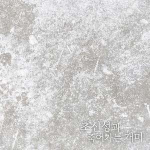 초신성과 죽어가는 개미 by Dovlvl