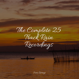 The Complete 25 Track Rain Recordings album