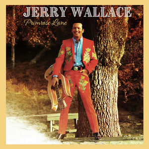 Empty Arms Again by Jerry Wallace
