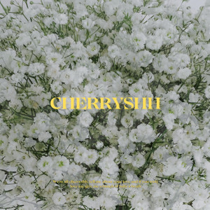 Baby's breath by CHERRYSHH
