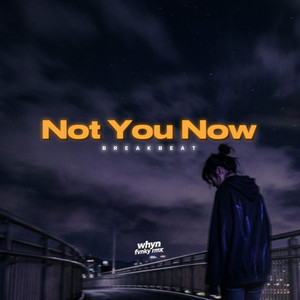 Not You Now Breakbeat by Whyn Fvnky Rmx