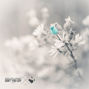 Don't You Cry