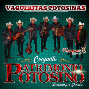 Conjunto Patrimonio Potosino poster