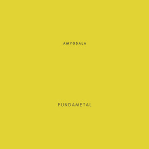 Fundametal