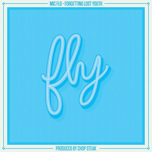 FLY: Forgetting Lost Youth cover