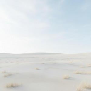 Near Silence by Dani Spiegel