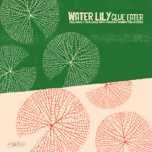 Water Lily by Glue Eater