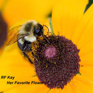 Her Favorite Flower by RF Kay