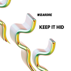 Keep It Hid - Radio Edit by Wizardre