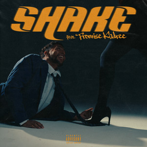 SHAKE by Zoka the Author, Promise Kadree