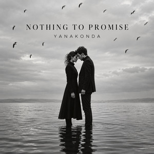 Nothing to promise by Yanakonda