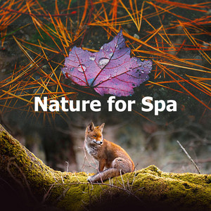 Nature for Spa