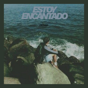 ESTOY ENCANTADO by POLPRADO
