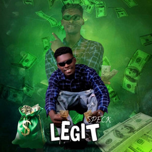 legit by Speck, princeberry