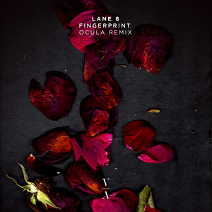 Fingerprint - OCULA Remix by Lane 8, OCULA